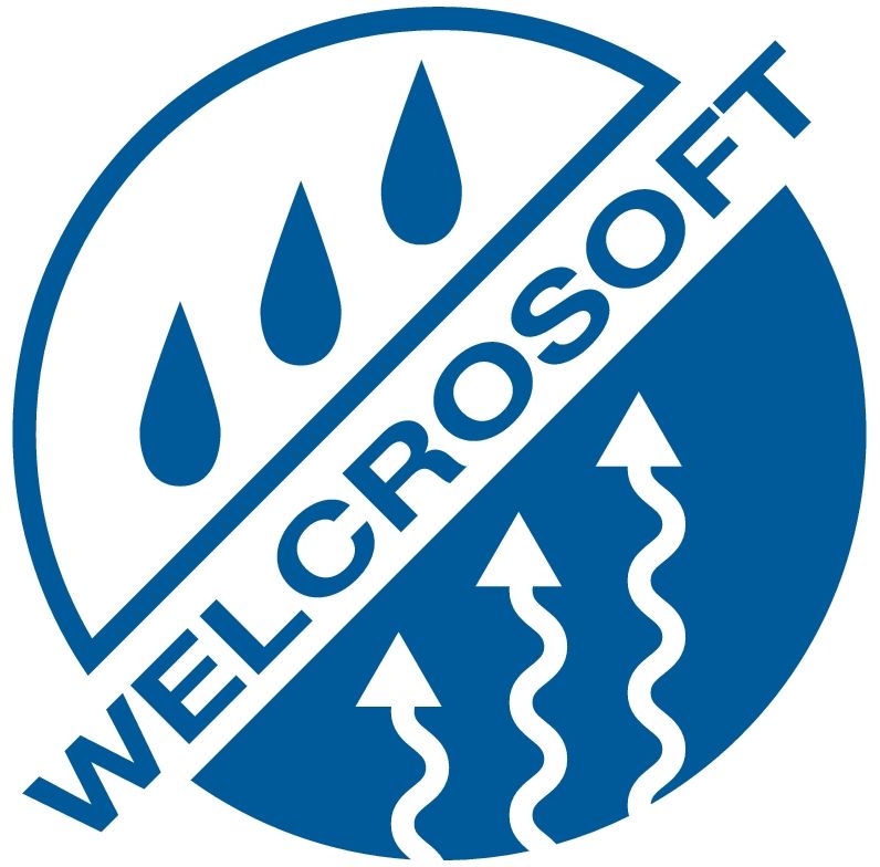 welcosoft logo